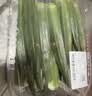 【水果菜】水果秋葵约300g 实拍图