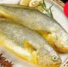 三都港 冷冻黄花鱼700g/2条装 新鲜大黄鱼 深海鱼 生鲜 鱼类 海鲜水产 实拍图
