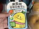 金豆芽金银花柚子汁儿童果汁饮品送礼盒装户外便携饮料100ml*13袋 实拍图
