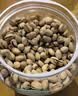 三只松鼠开心果1.1kg/罐 大颗粒无漂白0添加每日坚果炒货休闲零食团购送礼 实拍图