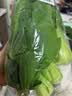 上海青约500g(油菜) 实拍图