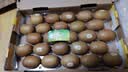 佳沛（zespri）金奇异果25-27粒原箱特大果124-146g猕猴桃水果礼盒 实拍图