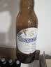 科罗娜（CORONA）特级啤酒330ml*24瓶整箱经典拉格京东自营国庆出行 实拍图