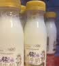 每日鲜语鲜牛奶 A2β-酪蛋白鲜牛奶185ml*6 巴氏杀菌乳 低温鲜奶 实拍图