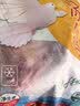 硒全食美无抗富硒汤鸽净重520g（2只）冷冻鸽子滋补煲汤烧烤生鲜鸽子 实拍图