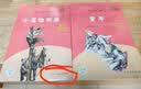 童年+小英雄雨来（升级版）人教版快乐读书吧 六年级上册套装（含音频资源）与新教材配套使用（共2册） 实拍图