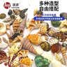 汉洋（HANYANG）贝壳鱼缸造景装饰摆件套餐水族箱底沙砂石天然海螺 实拍图