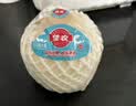 佳农泰国进口椰青 2粒单果900g+ 赠开椰器吸管 生鲜水果送礼  包邮 实拍图