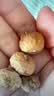 福东海无花果干300克 新疆精选干货即食泡水茶煲汤果脯孕妇下奶黄体酮 实拍图