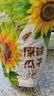 MAOKE原味瓜子500g恰恰葵花籽大颗粒宿舍网红休闲零食小吃大包装 实拍图