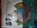 方家铺子中华老字号有机紫菜50g/袋海带虾皮紫菜蛋花汤孕妇免洗 实拍图