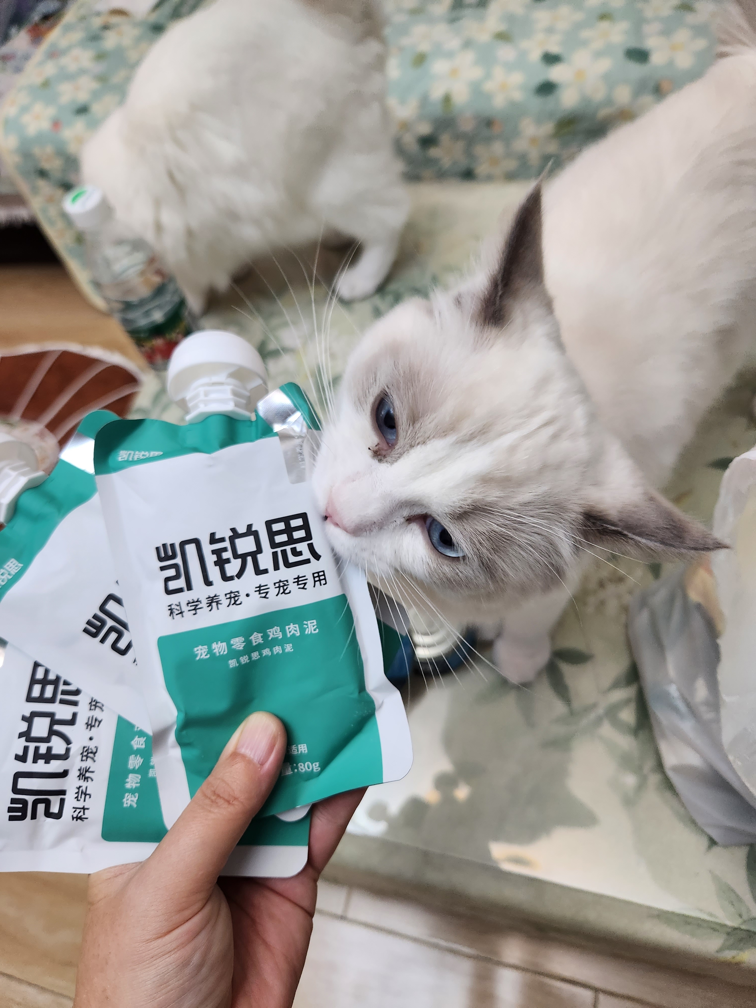 凯锐思猫条猫零食鸡肉鱼肉成猫老年猫幼猫咪零食湿粮 【低脂高蛋白】鸡肉条100支 5包（50支）周期装 实拍图