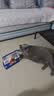 海洋之星烘焙猫粮冰川三文鱼猫粮 幼猫成猫美毛 布偶蓝猫全价鲜肉粮1.5kg 实拍图