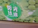 海南阳光玫瑰葡萄晴王青提香水提子新鲜水果一斤也是批发价 带箱4斤大果【单果克重10g-20g】（净重约3.5斤） 实拍图