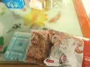 京东京造香卤肥肠1kg  火锅食材卤味熟食大肠 实拍图