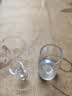 CLITON白酒杯分酒器100ml酒具套装茅台一口小酒杯刻度分酒壶酒盅1壶1杯 实拍图