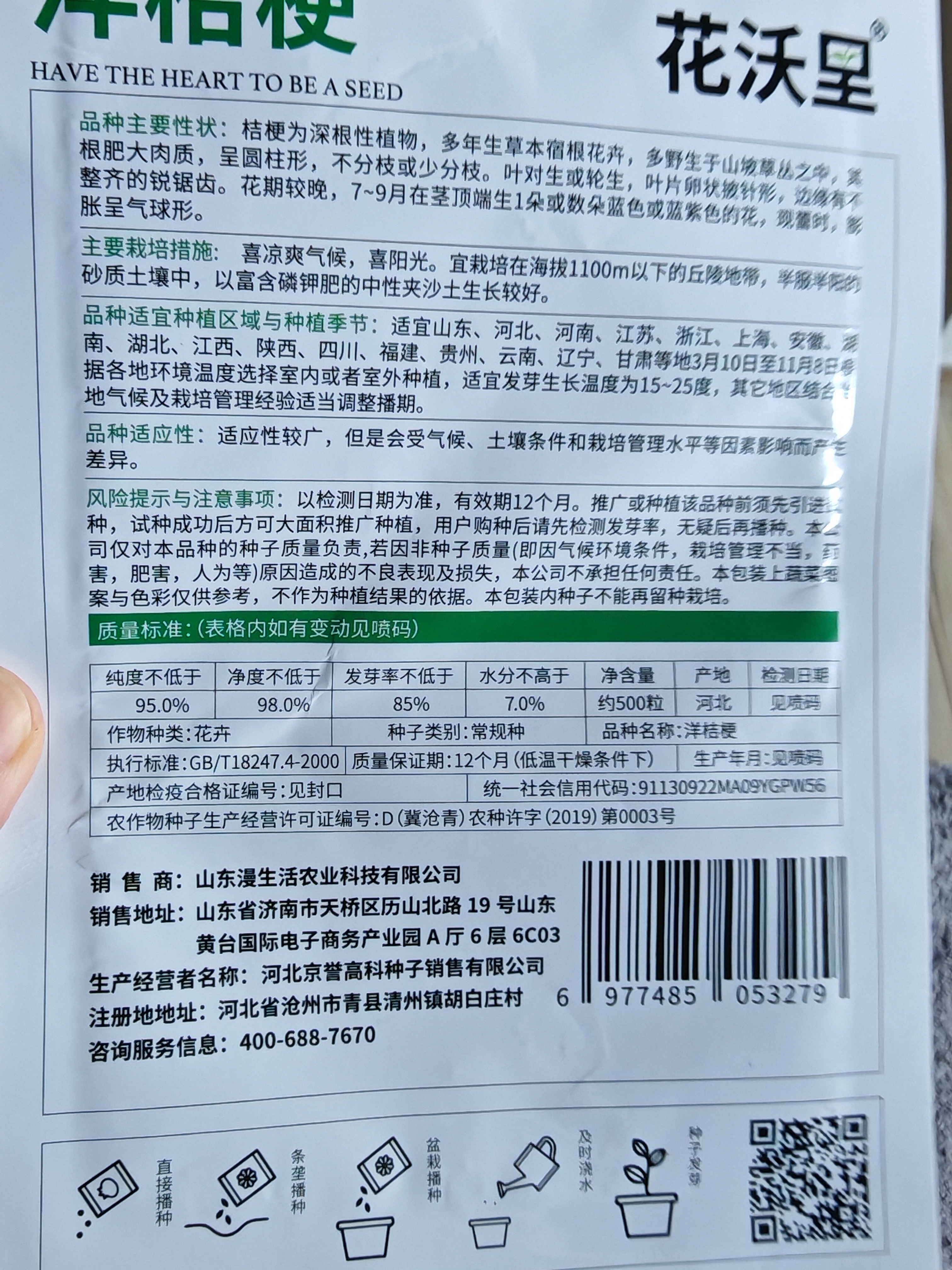 花沃里洋桔梗花种子500粒花卉种子家庭盆栽阳台庭院四季阳台盆栽 实拍图