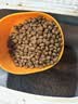 好主人金装好主人猫粮2.0 成猫幼猫蓝猫英短通用全价无谷冻干 【量贩优惠】金装幼猫粮7斤 实拍图