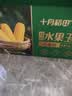 十月稻田 黄糯玉米 8根 3.52斤 真空包装 东北甜粘玉米棒 低脂早餐 实拍图