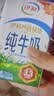 伊利早餐奶核桃味 250ml*24盒 优选核桃早餐伴侣 礼盒装 实拍图