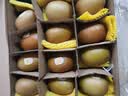 佳沛（zespri）新西兰金奇异果12粒特大果124-146g猕猴桃水果礼盒 实拍图