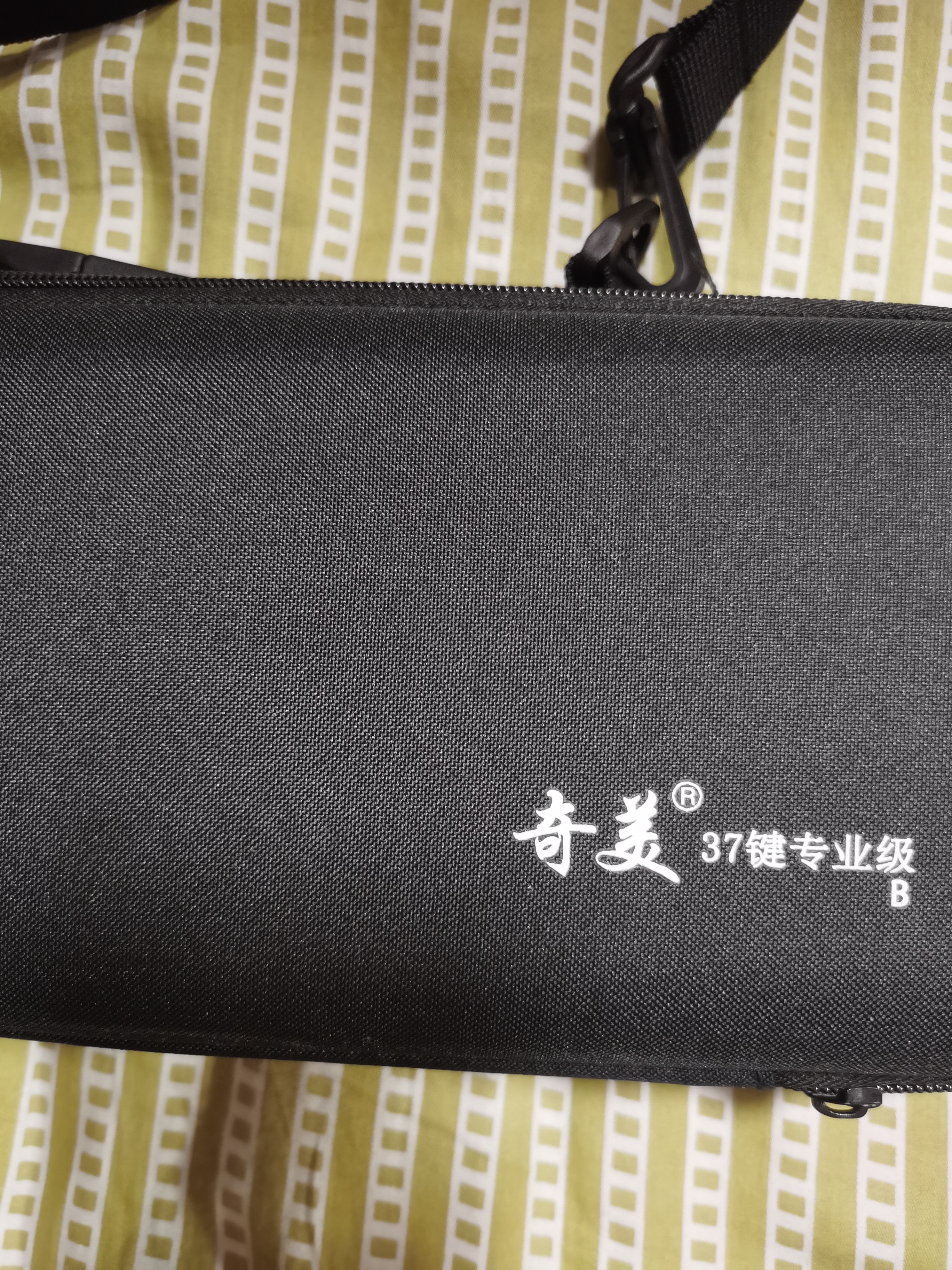 奇美37键专业级马卡龙色学生成人口风琴（马卡龙黑、赠音符贴及吹管） 实拍图