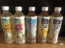 三得利（Suntory）无糖乌龙茶饮料 0糖0能量0脂 500ml*15瓶整箱装 实拍图