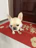 皇家狗粮 成犬狗粮 犬粮 宠物 中型犬 M25 全价犬粮 ≥12月 4KG 实拍图