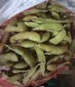 鲜毛豆500g(带壳) 实拍图