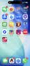 Apple/苹果/苹果 iPhone 17 256GB 黑色 支持移动联通电信5G 双卡双待手机 实拍图