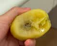 佳沛（zespri）新西兰金奇异果8粒特大果124-146g猕猴桃水果礼盒 实拍图