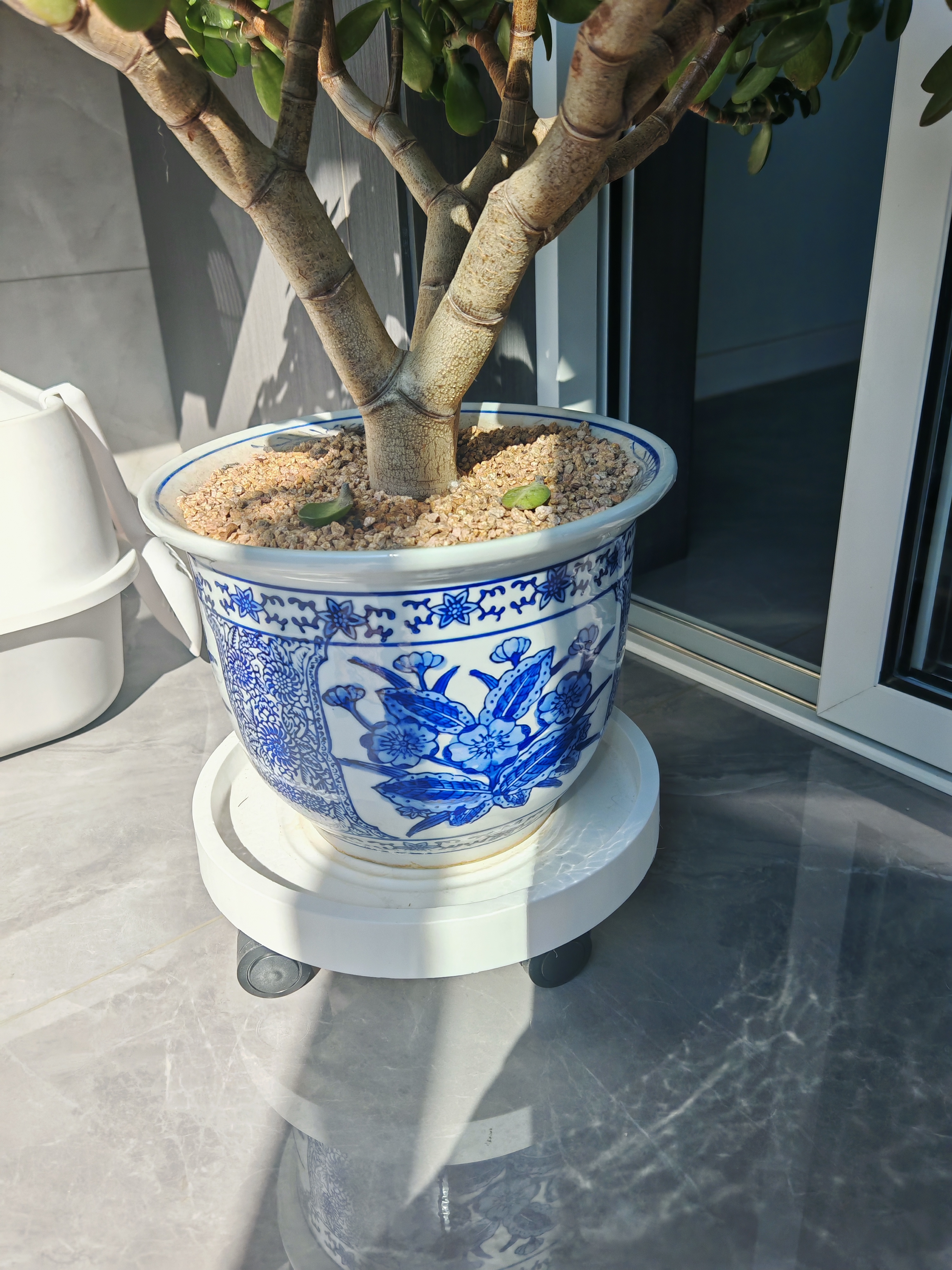 绿盼圆形花盆移动花托盘底座带万向轮轱辘接水22#内径19.6cm 实拍图