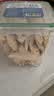WEYES冻干鸡小胸500g桶装宠物猫狗零食肉干营养高蛋白适口性好 实拍图