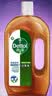 滴露（Dettol）消毒液洗衣衣物消毒水750mL 除螨杀菌混洗无忧 家居地板消毒 非84 实拍图