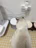 霍曼（Homerun）宠物双无线饮水机BF21 自动饮水器猫咪饮水机无线续航自由摆放 实拍图