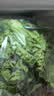 云南鲜生菜约400g 实拍图