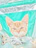 凯锐思猫粮鲜肉奶糕幼猫粮4-12月助免疫鲜肉冻干双拼幼猫粮4斤 实拍图