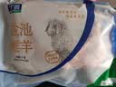 宁鑫宁夏盐池滩羊 原切羊蝎子1.6斤 焖炒炖煮 地理标志产品 赠料包 实拍图