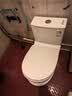 九牧（JOMOO）11562-2-1/01K-1 马桶家用 双旋冲水易洁坐便器 200-400坑距可调 实拍图