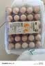 大码鲜鸡蛋1.8kg 实拍图