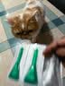 福来恩（FRONTLINE）猫咪驱虫药宠爱宠物实力除蚤法国进口复方驱虫滴剂 0.5ml*6支装 实拍图