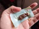 京东京造只加盐风干牛肉干500g孕妇肉脯零食内蒙古特产健身减脂 实拍图
