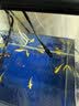 森森鱼缸增氧泵水族箱氧气泵LQE-100家用小型充氧泵4W单孔+全套配件 实拍图