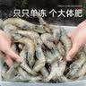 北海湾 虾 青岛海鲜大虾国产鲜活冷冻基围虾虾类水产生鲜白虾青虾海对虾 单冻大虾 3斤(净重)  15-17cm【单只冻 新货】 实拍图