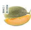 北纬23°西州蜜瓜1粒约1.3kg 实拍图