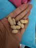 加州原野原香花生500g/袋 坚果炒货京东自营0添加健康食品办公休闲零食 实拍图