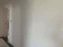 多乐士（Dulux）森呼吸淳零护敏护哮喘竹炭全效抗菌无添加儿童漆 油漆乳胶漆A8207 单桶 白漆 不可调色 5L*1件 实拍图