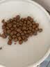 皇家猫粮 布偶成猫粮 RA32 通用粮 12月以上 2KG【宠物金选】 实拍图