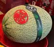脆甜西州蜜瓜1粒约1.8kg 实拍图
