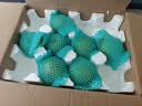 京鲜生安徽砀山青皮青翠蜜梨净重4.5斤单果200-250g+新鲜水果 源头直发 实拍图